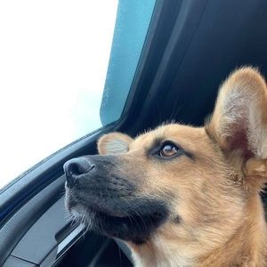 Meet your Posher, Adrianna